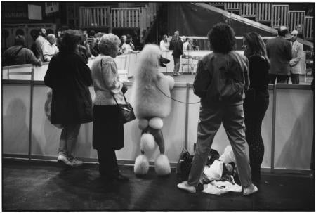 Birmingham, England, 1991 - Elliott Erwitt (Schwarz-Weiß-Fotografie)
Signiert, betitelt und datiert auf dem beiliegenden Etikett des Künstlers
Silbergelatineabzug, später gedruckt

Erhältlich in vier Größen:
11 x 14 Zoll
16 x 20 Zoll
20 x 24 Zoll
30