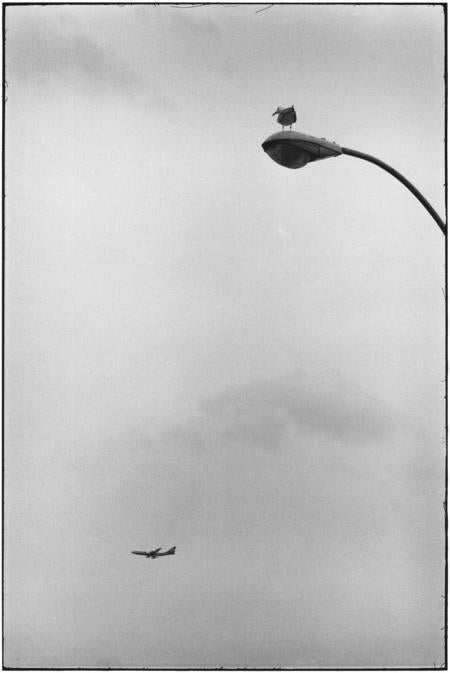 Coney Island, New York, 1975 - Elliott Erwitt (Photographie en noir et blanc)
Signé, inscrit avec le titre et daté sur l'étiquette de l'artiste qui l'accompagne.
Épreuve à la gélatine argentique, imprimée ultérieurement

Disponible en quatre tailles