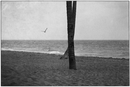 Daytona Beach, Florida, 1975 - Elliott Erwitt (Black and White Photography)