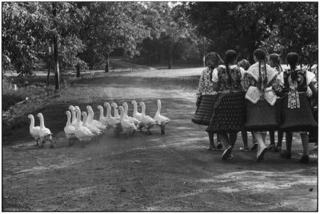 Hungary, 1964 - Elliott Erwitt (Black and White Photography)
Signed, inscribed with title and dated on accompanying artist’s label
Silver gelatin print, printed later

Available in four sizes:
11 x 14 inches
16 x 20 inches
20 x 24 inches
30 x 40