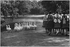 Hungary, 1964 - Elliott Erwitt (Black and White Photography)