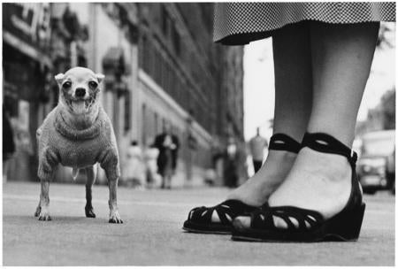 New York City, 1946 - Elliott Erwitt (Schwarz-Weiß-Fotografie)
Signiert, mit Titel bezeichnet und datiert auf dem beiliegenden Label des Künstlers
Silbergelatineabzug, später gedruckt

Erhältlich in vier Größen:
11 x 14 Zoll
16 x 20 Zoll
20 x 24
