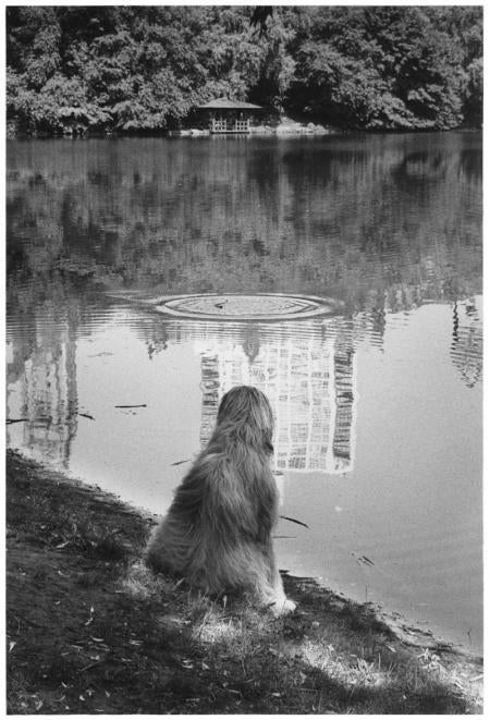 New York City, 1990 - Elliott Erwitt (Black and White Photography)
Signed, inscribed with title and dated on accompanying artist’s label
Silver gelatin print, printed later

Available in four sizes:
11 x 14 inches
16 x 20 inches
20 x 24 inches
30 x