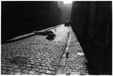 Orleans, France, 1952  - Elliott Erwitt (Black and White Photography)
Signed, inscribed with title and dated on accompanying artist’s label
Silver gelatin print, printed later

Available in four sizes:
11 x 14 inches
16 x 20 inches
20 x 24 inches
30