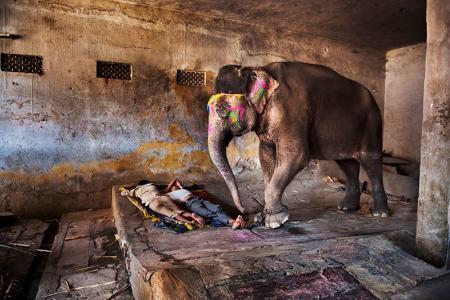 A Decorated Elephant and Sleeping People, India, 2012  - Steve McCurry