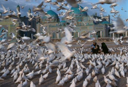 the blue mosque afghanistan