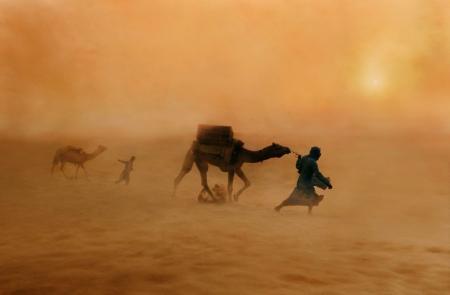 steve mccurry camels