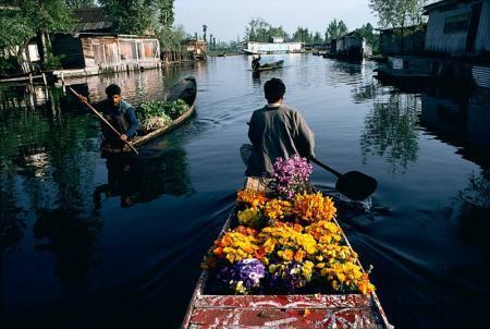 Flower Seller, Kashmir, India, 1998 - Steve McCurry (Colour Photography)