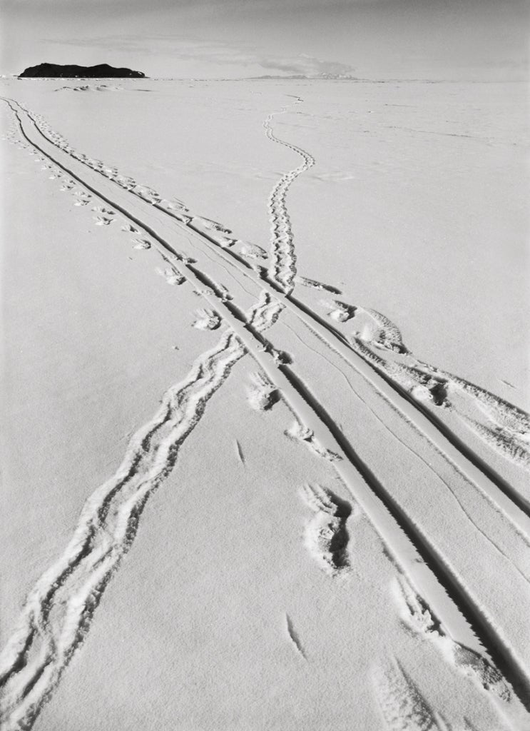 Herbert George Ponting Landscape Photograph - Adelie Penguin Tracks and Sledge Track Crossing, 8 December 1911 