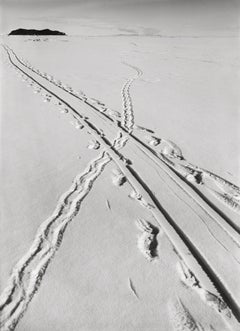 Adelie Penguin Tracks and Sledge Track Crossing, 8 December 1911 