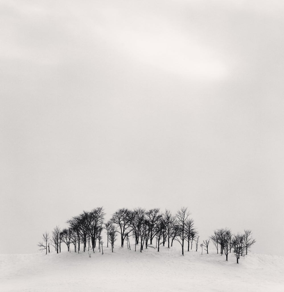 Afternoon Light, Shibeca, Hokkaido, Japan, 2004- Michael Kenna (Black and White)
Signed, dated and numbered on mount
Signed, dated, inscribed with title and stamped with photographer's copyright ink stamp on reverse
Sepia toned silver gelatin