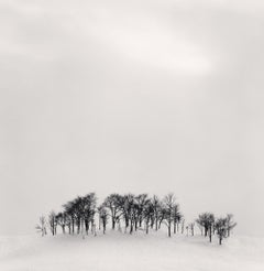 Luce pomeridiana, Shibeca, Hokkaido, Giappone, 2004- Michael Kenna (Bianco e nero)