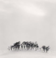 Nachtlicht, Shibeca, Hokkaido, Japan, 2004- Michael Kenna (Schwarz-Weiß)