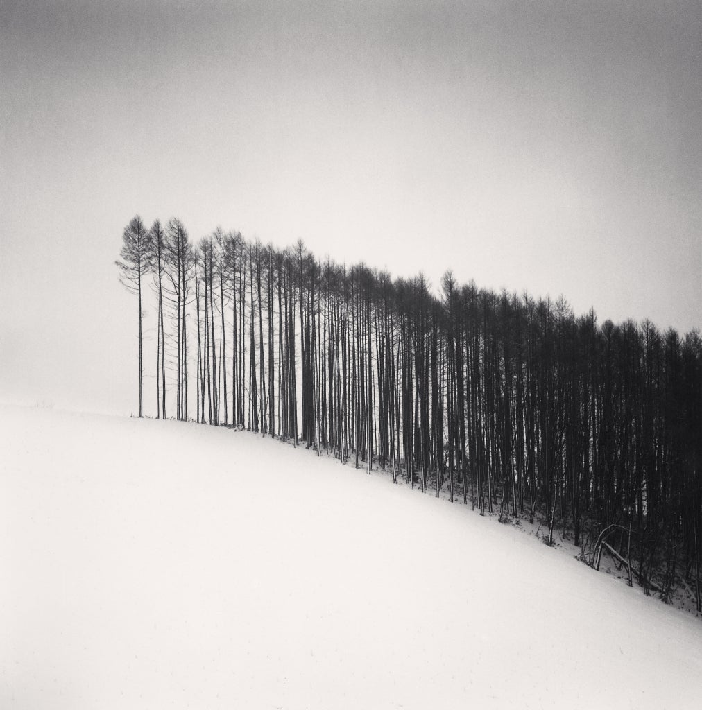 Michael Kenna Black and White Photograph - FOREST EDGE, HOKUTO, HOKKAIDO, JAPAN, 2004