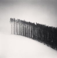 FOREST EDGE, HOKUTO, HOKKAIDO, JAPAN, 2004