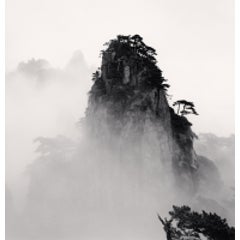 HUANGSHAN MOUNTAINS, STUDY NO 11, ANHUI, CHINA, 2008 6