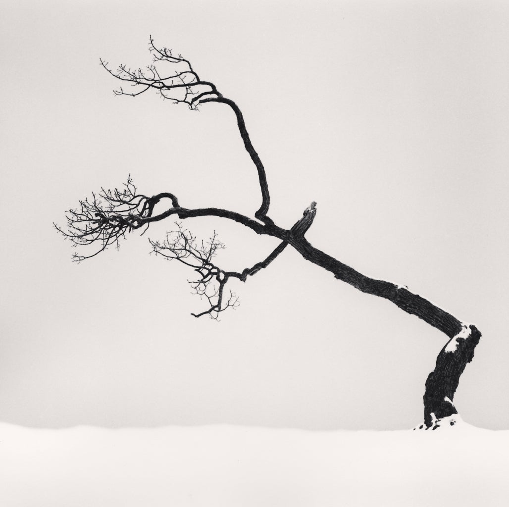 Kussharo Lake Tree, Study no 6, Kotan, Hokkaido, Japan, 2007  - Michael Kenna 
Signed, dated and numbered on mount
Signed, dated, inscribed with title and stamped with photographer's copyright ink stamp on reverse
Sepia toned silver gelatin print
7