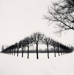 Prospettiva di alberi, Tsarskoe Selo, Russia, 1999 - Michael Kenna