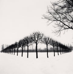 Perspective of Trees, Tsarskoe Selo, Russie, 1999, Michael Kenna 