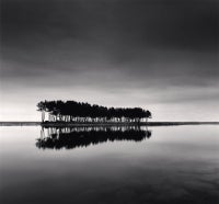michael kenna pine trees PINE TREES, STUDY 1, WOLCHEON, GANGWONDO, SOUTH KOREA, 2007