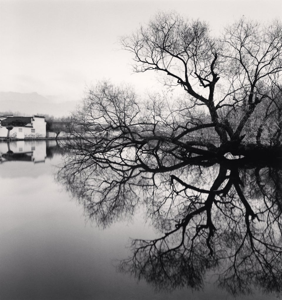 Reflected Tree, Hongkun, Anhui, China, 2007 - Michael Kenna