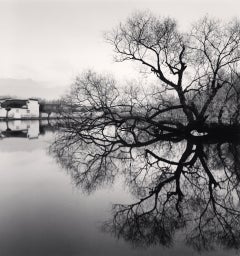 Albero riflesso, Hongkun, Anhui, Cina, 2007 - Michael Kenna