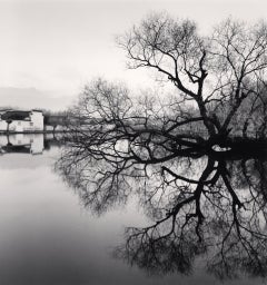 Reflektorierter Baum, Hongkun, Anhui, China, 2007 - Michael Kenna 