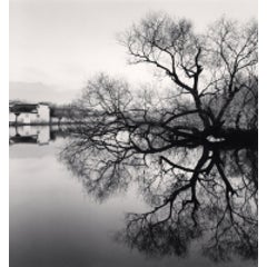 REFLECTED TREE, HONGKUN, ANHUI, CHINA, 2007 10