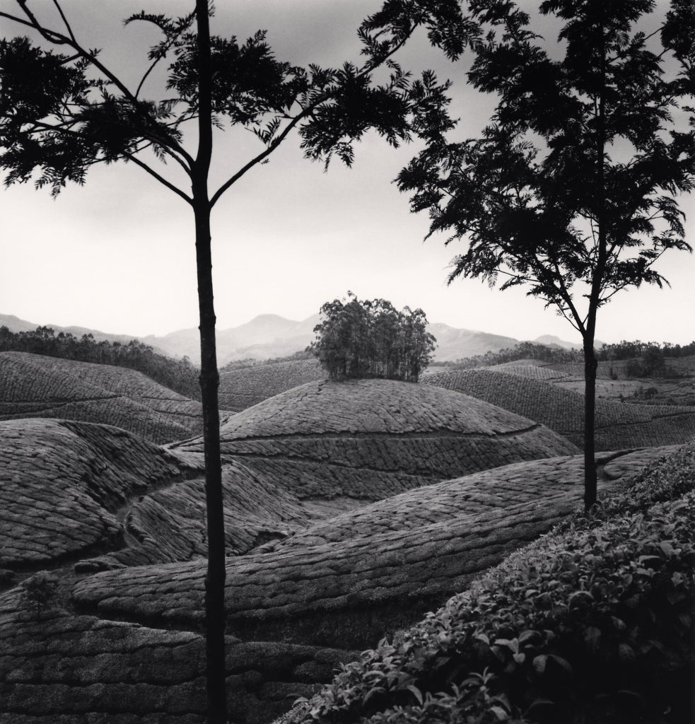Tea Estates, Study 1, Kerala, India, 2008  - Michael Kenna (Black and White)
Signed, dated and numbered 16/45 on mount
Signed, dated, inscribed with title and stamped with photographer's 
Copyright ink stamp on reverse
Sepia toned silver gelatin