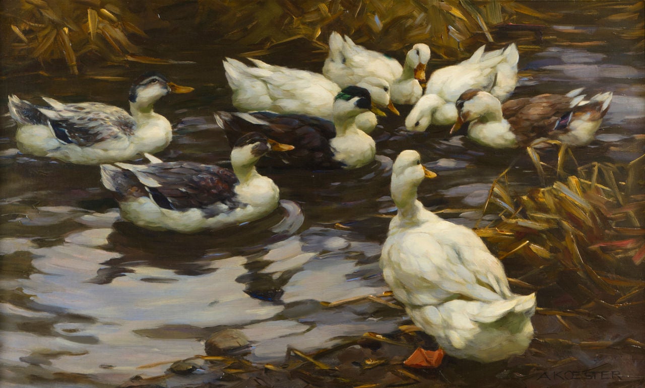 Alexander Max Koester Animal Painting - Ducks in the Evening Sun