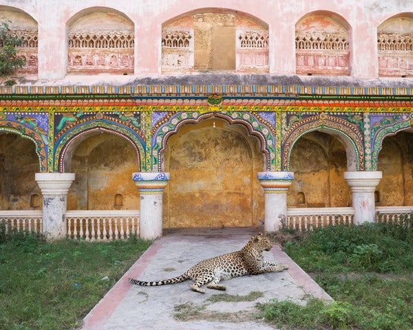 Karen Knorr Color Photograph - Maharani's Attendant, Queens Palace, Thanjavur Palace, Tanjore