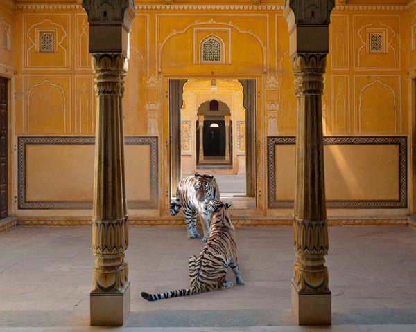 Karen Knorr Color Photograph - The Arrow of Kama, Nahargarh Fort, Jaipur