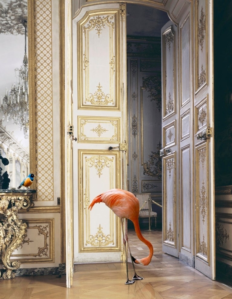 Collection of 10 limited edition photographs from Karen Knorr's 'Fables' series, presented in a customised silk covered presentation box. The set comes with a signed and numbered colophon page as is produced in an edition of 5 + 2 APs.
Each print
