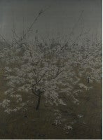 Blossoming Pear Tree - Sadness