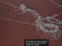 Accidental Death of the Snake No.2