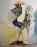 Solar Cock
