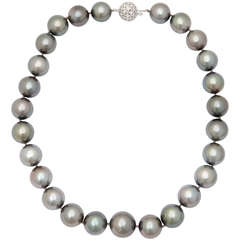 Exquisite Large Grey Tahitian Pearls