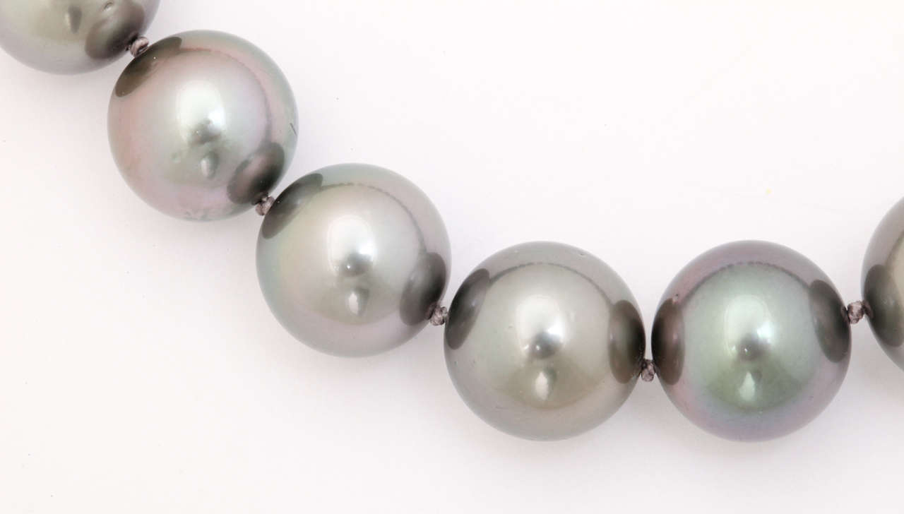 Exquisite Large Grey Tahitian Pearls For Sale at 1stDibs grey pearls