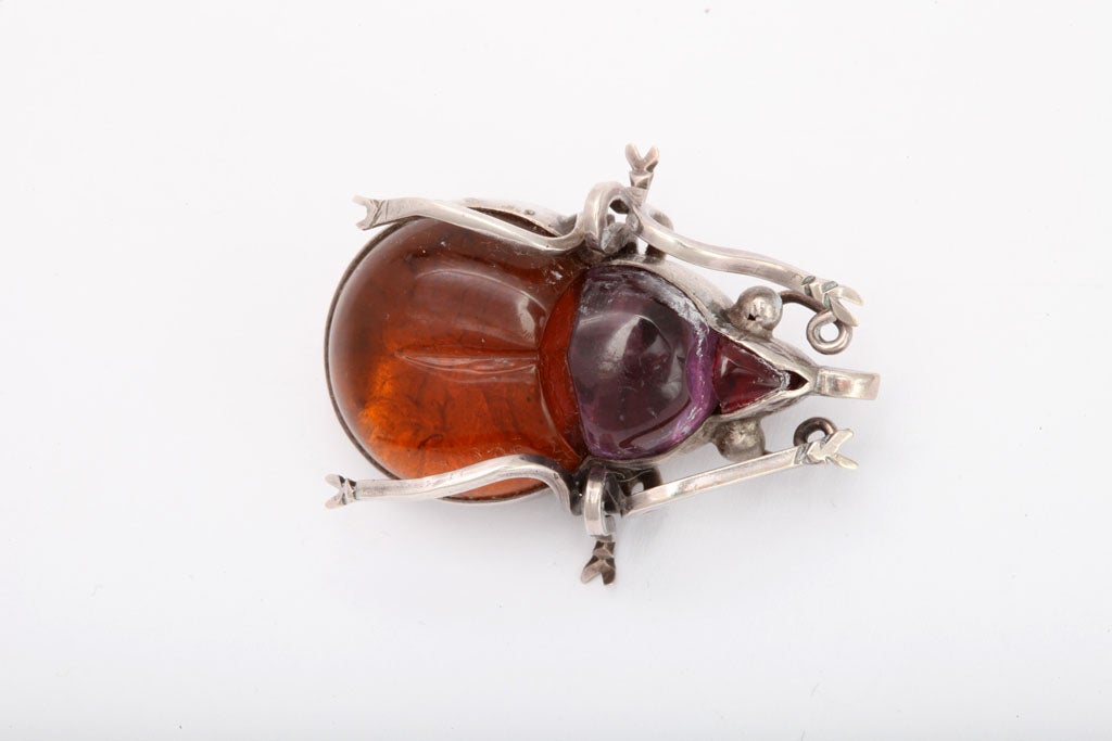 Women's or Men's It Takes A Village:  Crystal Beetle Brooches