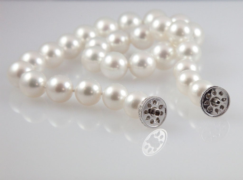 pearl necklace clip