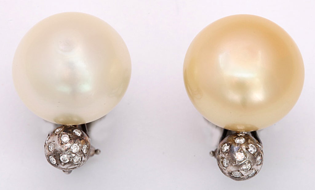 A pair of button shaped south sea pearl studs composed of one golden pearl and one white pearl. Each pearls has an 18kt white gold and diamond pave diamond ball at the bottom.