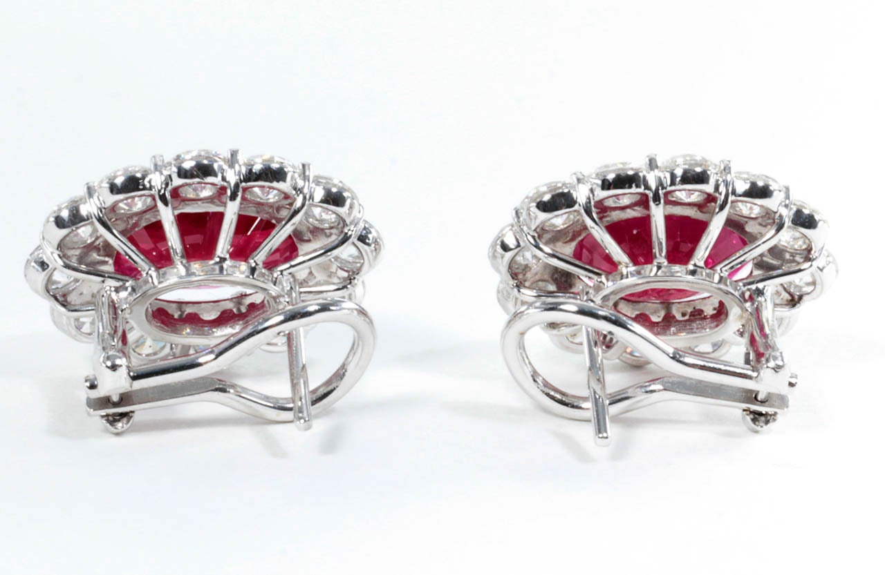 Rare Burma Ruby Diamond Earrings For Sale at 1stDibs | burma ruby ...
