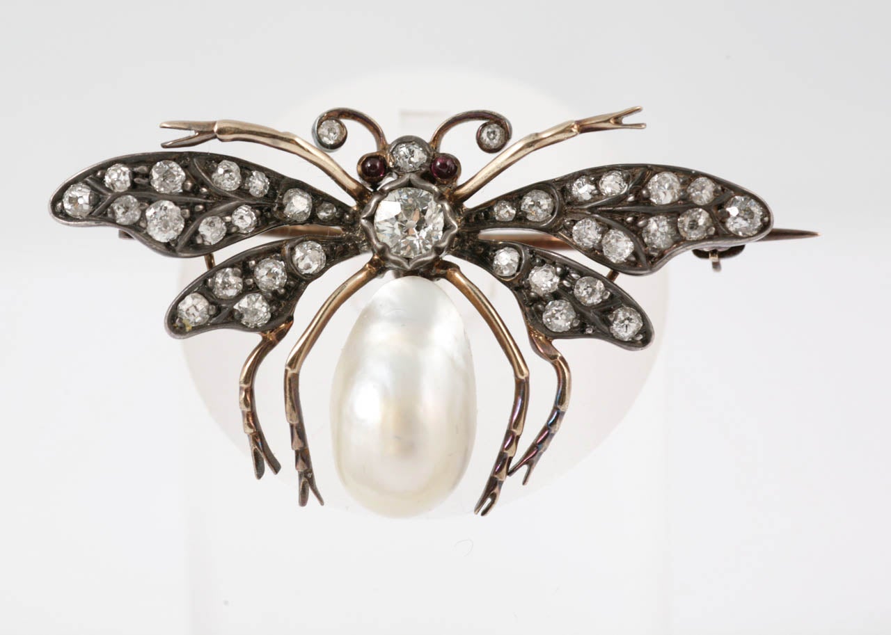 Gem Set Victorian Bug Pin