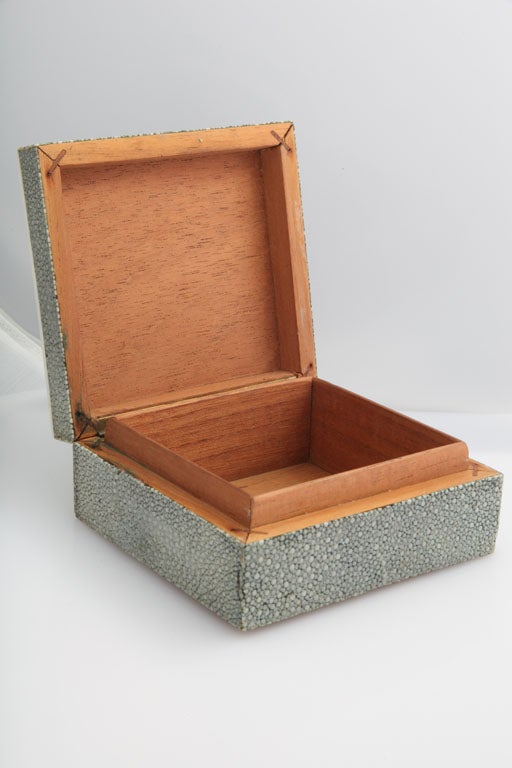 English Art Deco Shagreen & Ivory Box with Wooden Liner 4