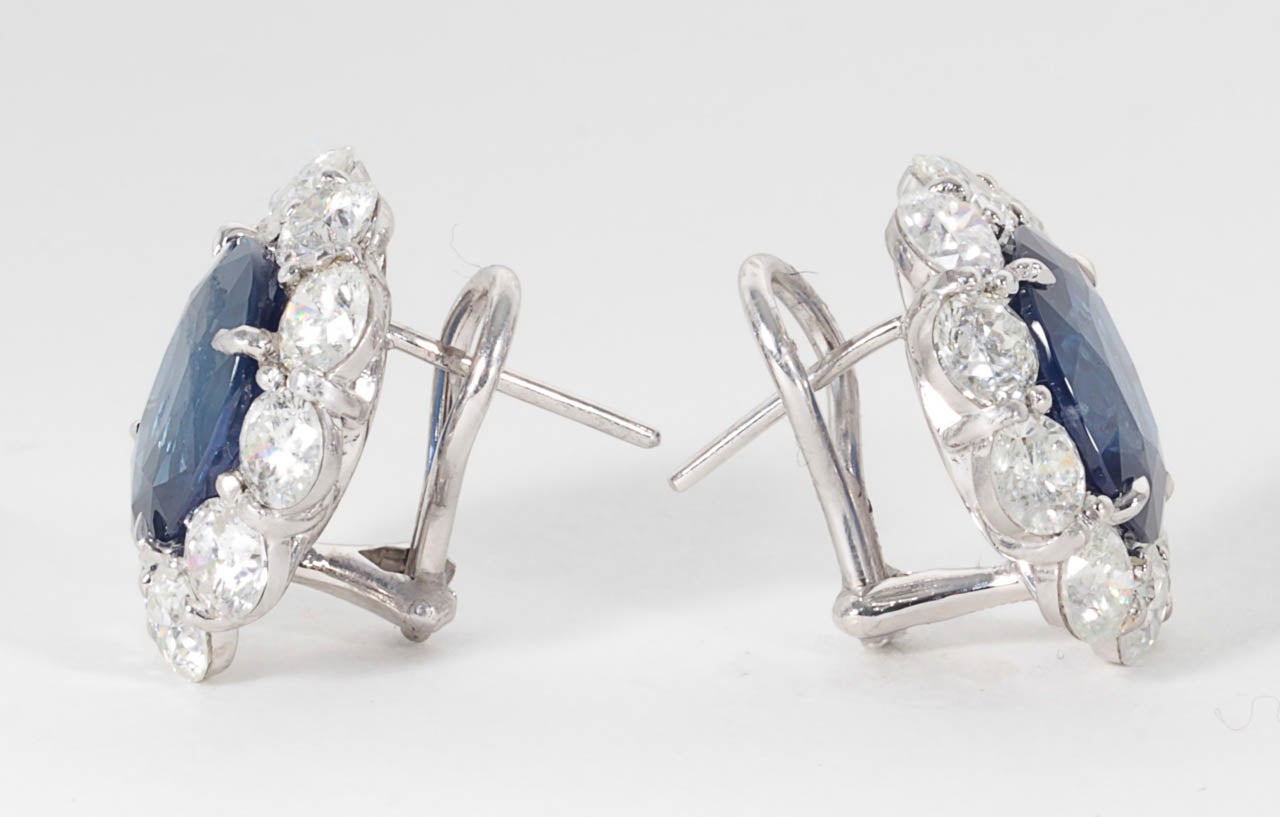 Exquisite Ceylon Sapphire Diamond Gold Earrings In New Condition In New York, NY
