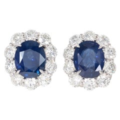 Exquisite Ceylon Sapphire Diamond Gold Earrings 11