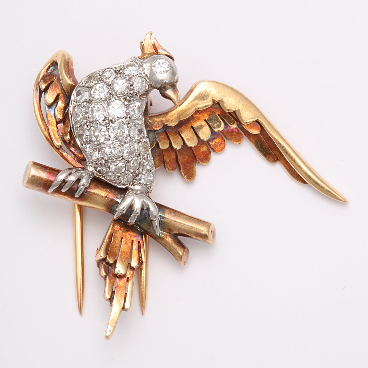Women's or Men's Magnificent Bird Clips For Sale