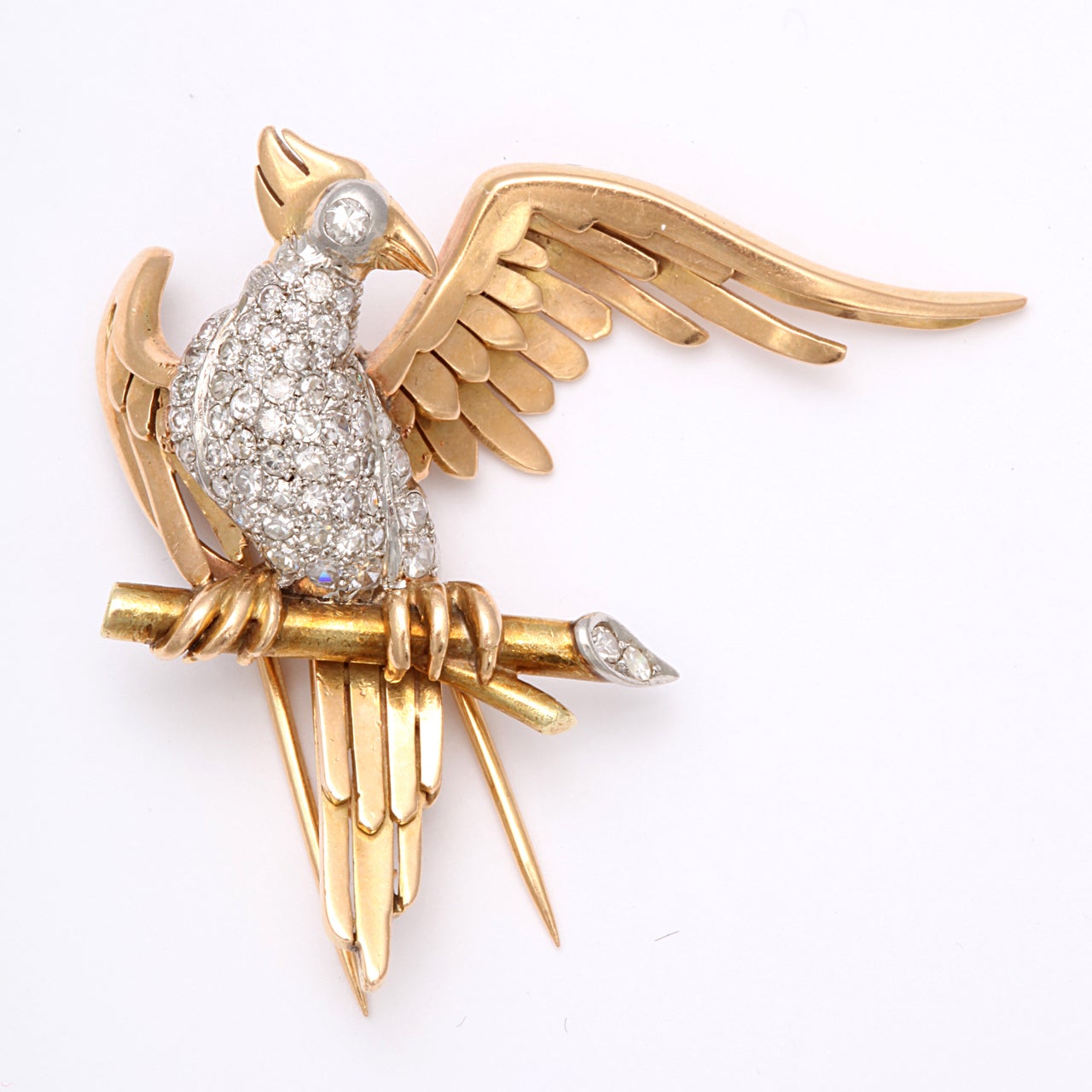Magnificent Bird Clips For Sale at 1stDibs