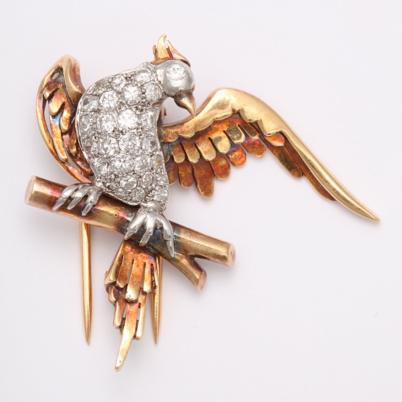 Magnificent Bird Clips For Sale at 1stDibs