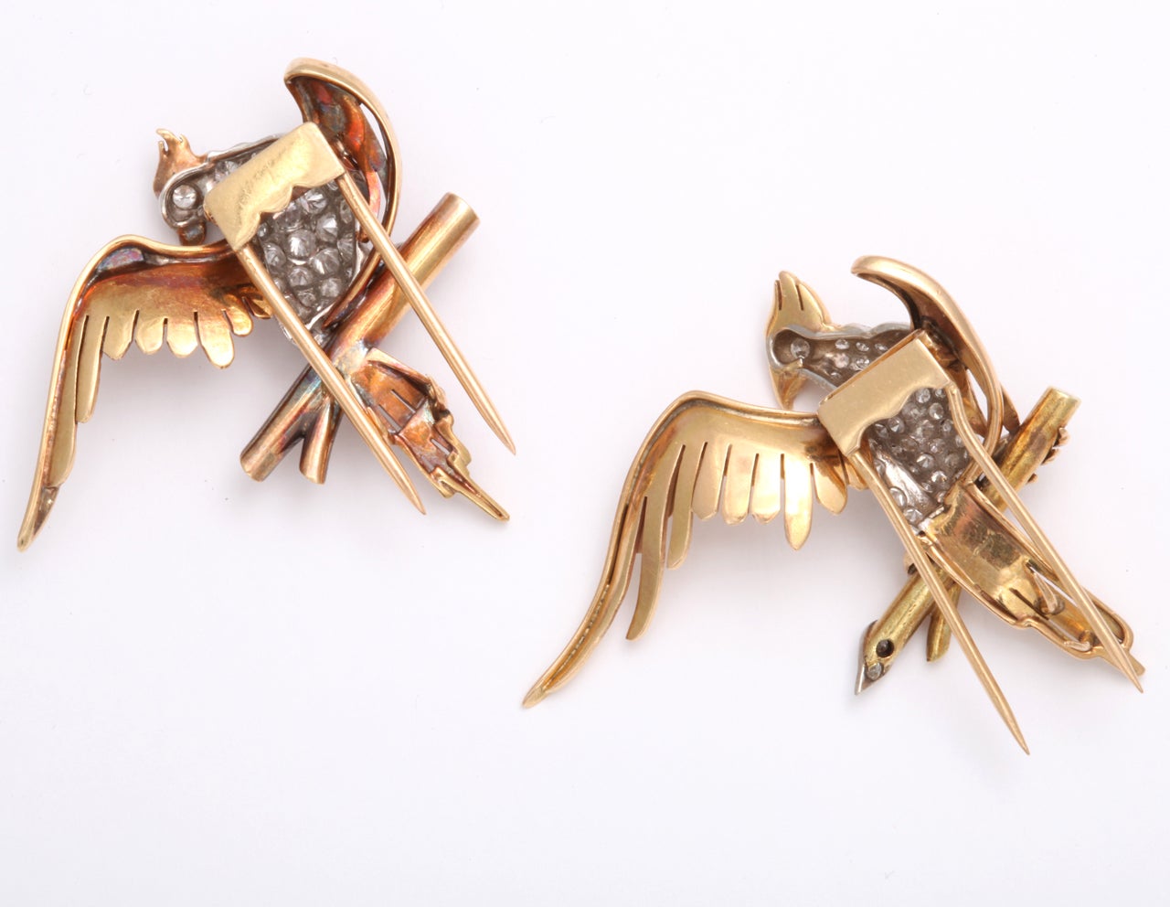 Magnificent Bird Clips For Sale at 1stDibs